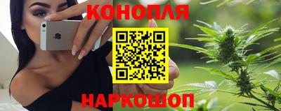прущие крисы Сосновый Бор