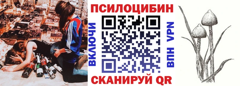 Псилоцибиновые грибы GOLDEN TEACHER  Великие Луки 