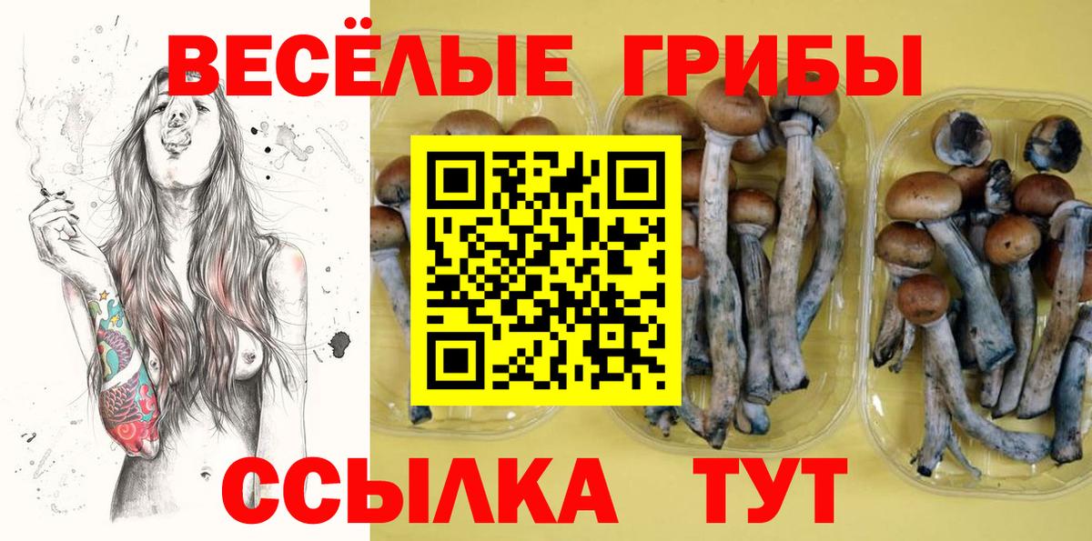 Галлюциногенные грибы Cubensis Великие Луки